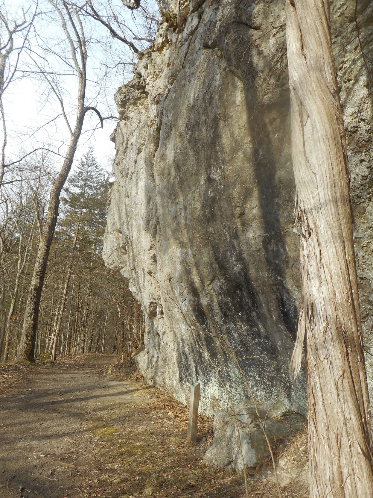 Bartholomew's Cobble cliff